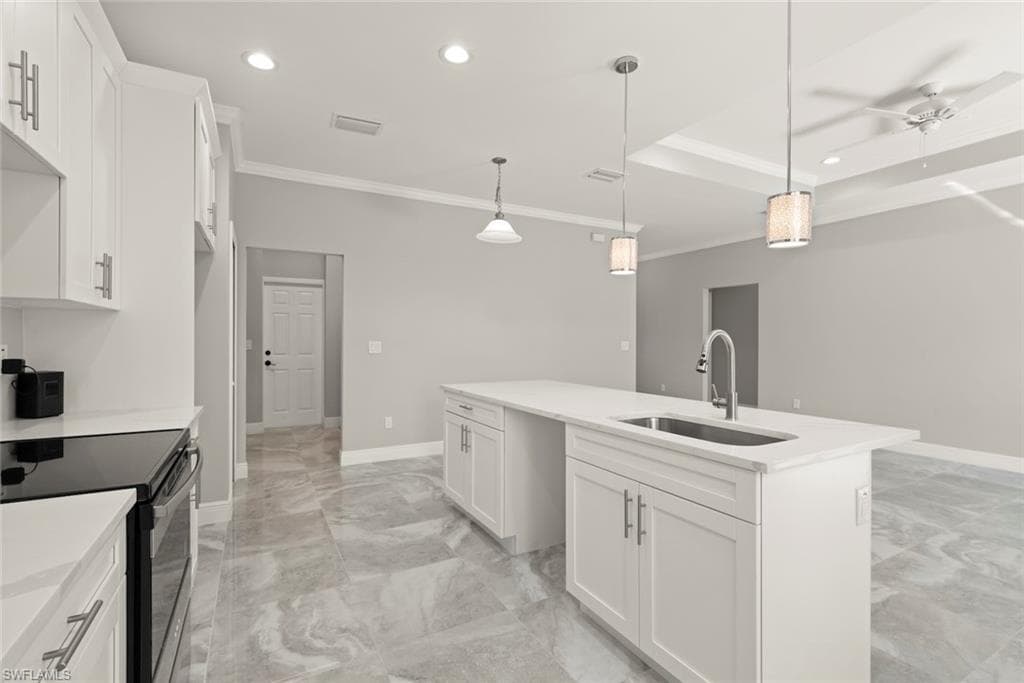 897 Iris DR-21