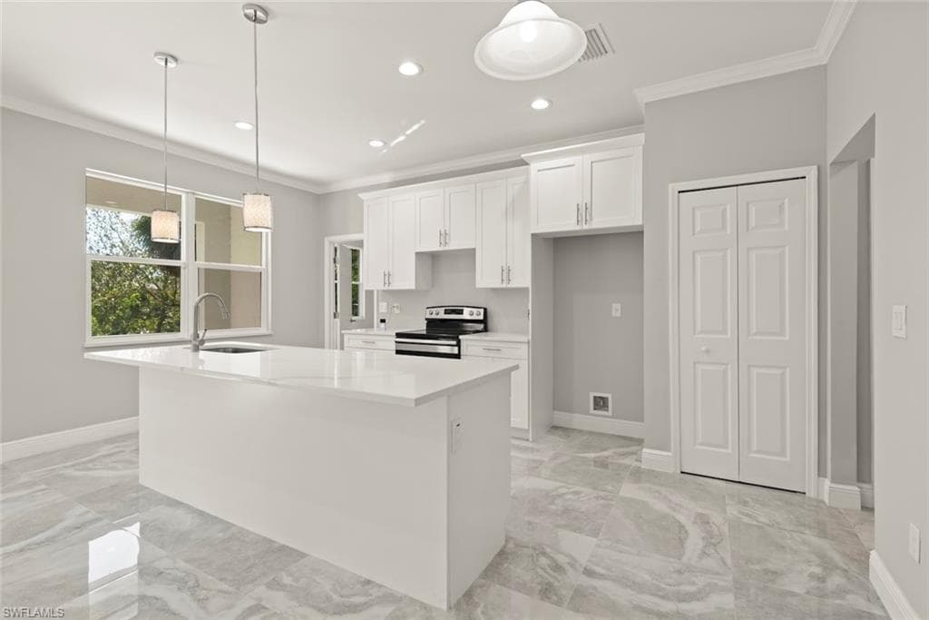 897 Iris DR-19