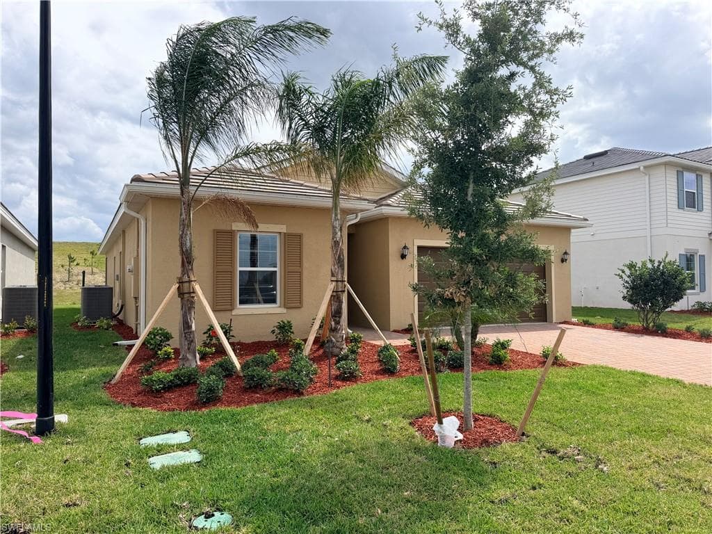 3917 Passion Vine DR-29
